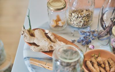 Herbalism 101 – The benefits + Get Started With 15 Easy Plants